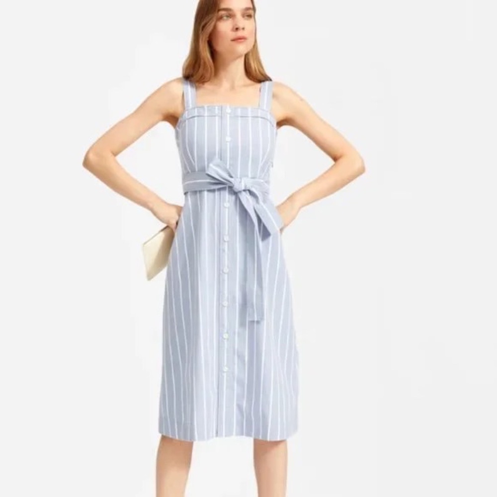 NWT Everlane Cotton Weave Picnic Dress